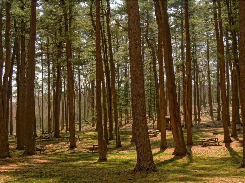 sudoku number game screenshot 5