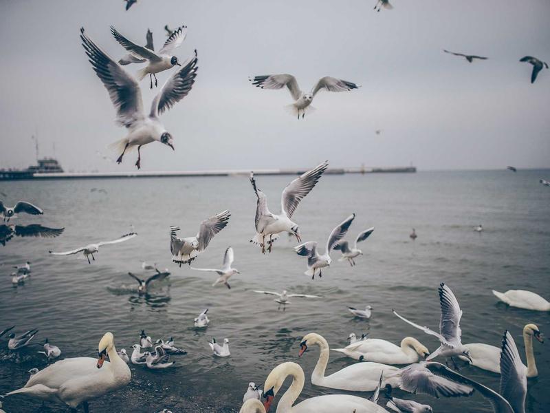 sudoku number game screenshot 1